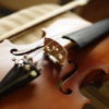 バイオリンイメージ写真