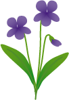 紫花イラスト