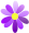 紫小花アイコン